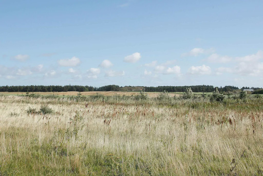 Photo of Outdoor in Nr. Lyngby
