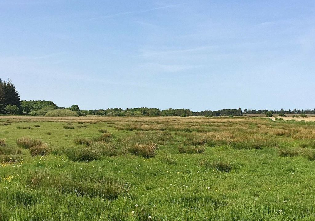 Photo of Outdoor in Hojslev