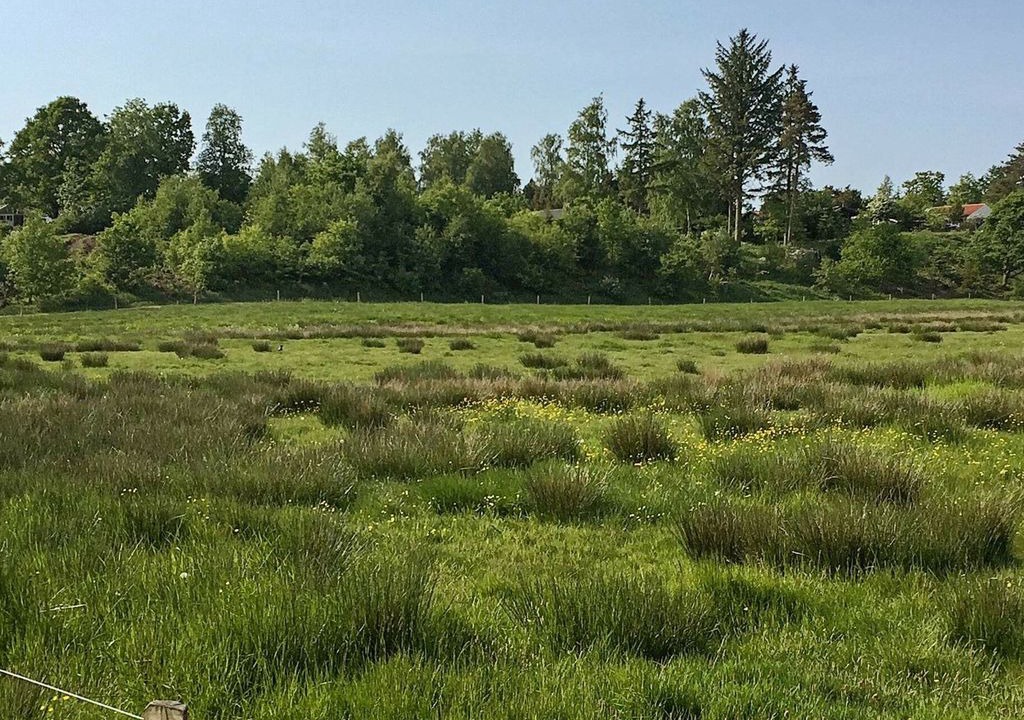 Photo of Outdoor in Hojslev
