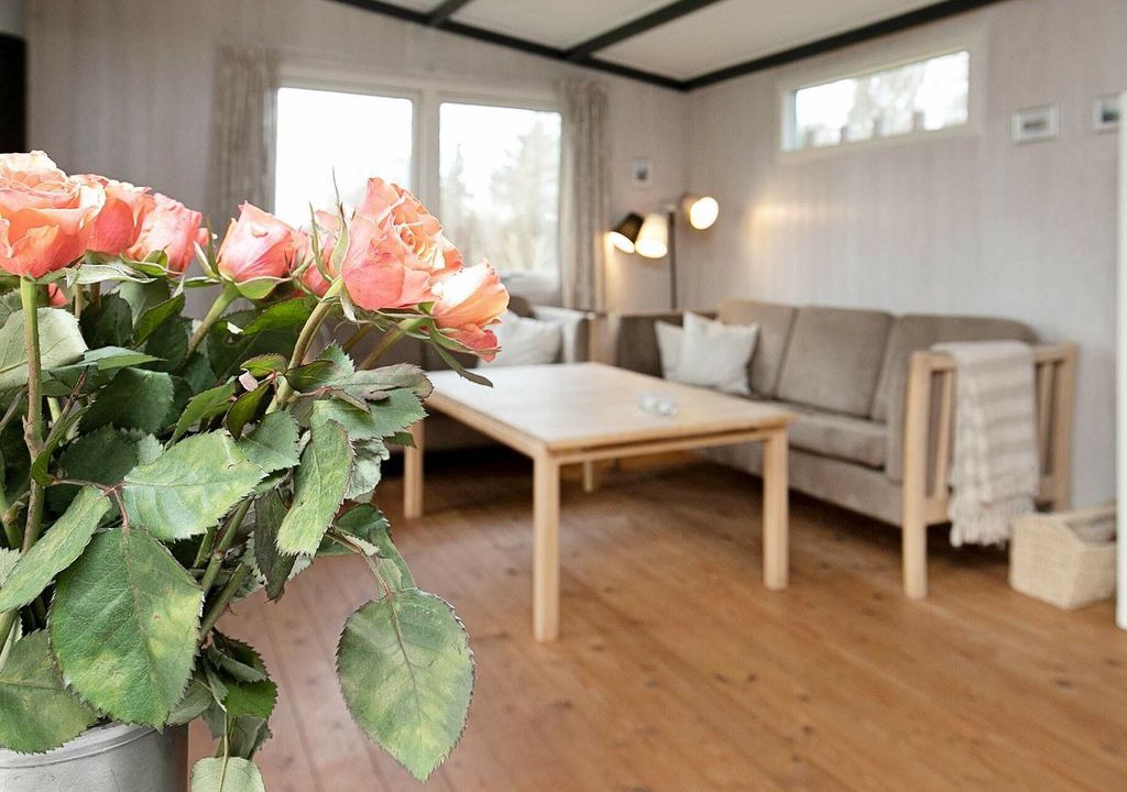 Photo of Livingroom in Hojslev