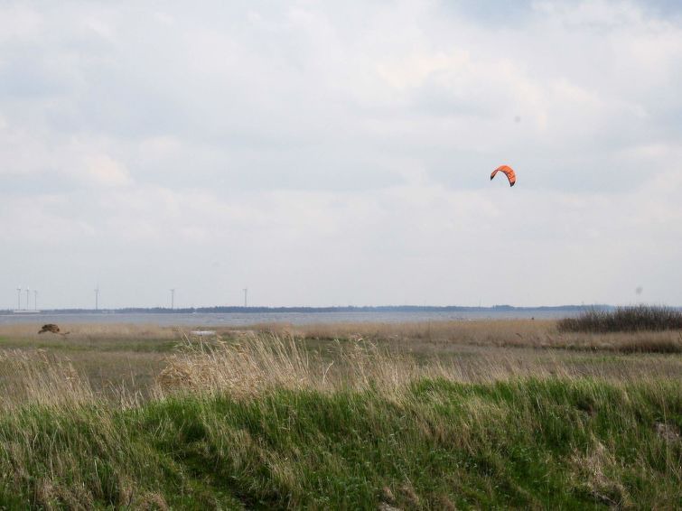 Photo of Outdoor in Thorsminde
