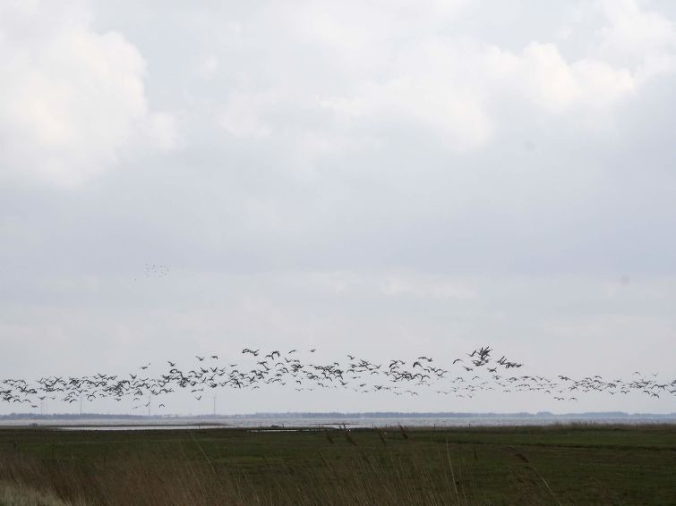 Photo of Outdoor in Thorsminde