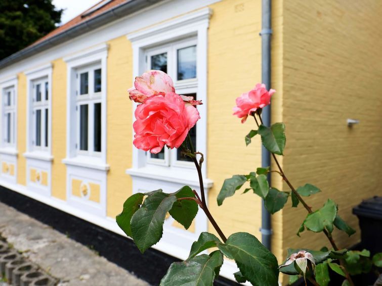 Photo of Buildings in Marstal