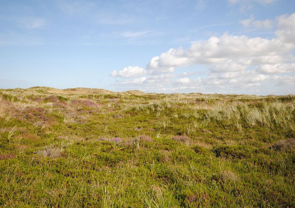 Photo of Outdoor in Nørklit