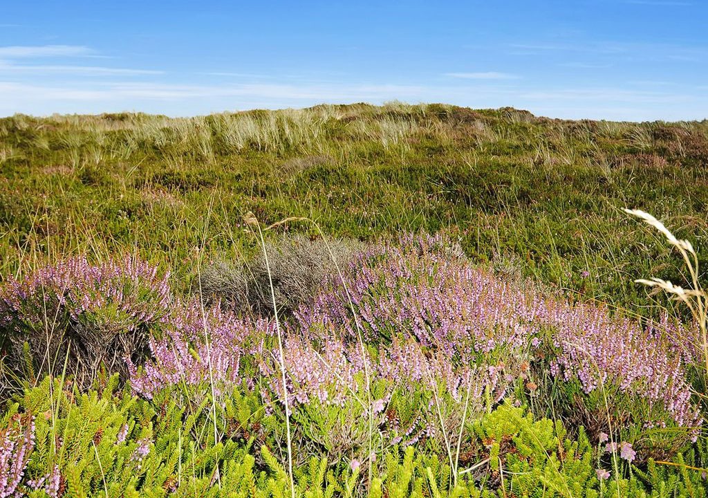 Photo of Outdoor in Nørklit