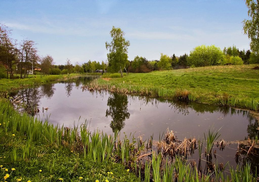 Photo of Outdoor in Skygge