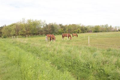 Photo of Others in Sonder Bork