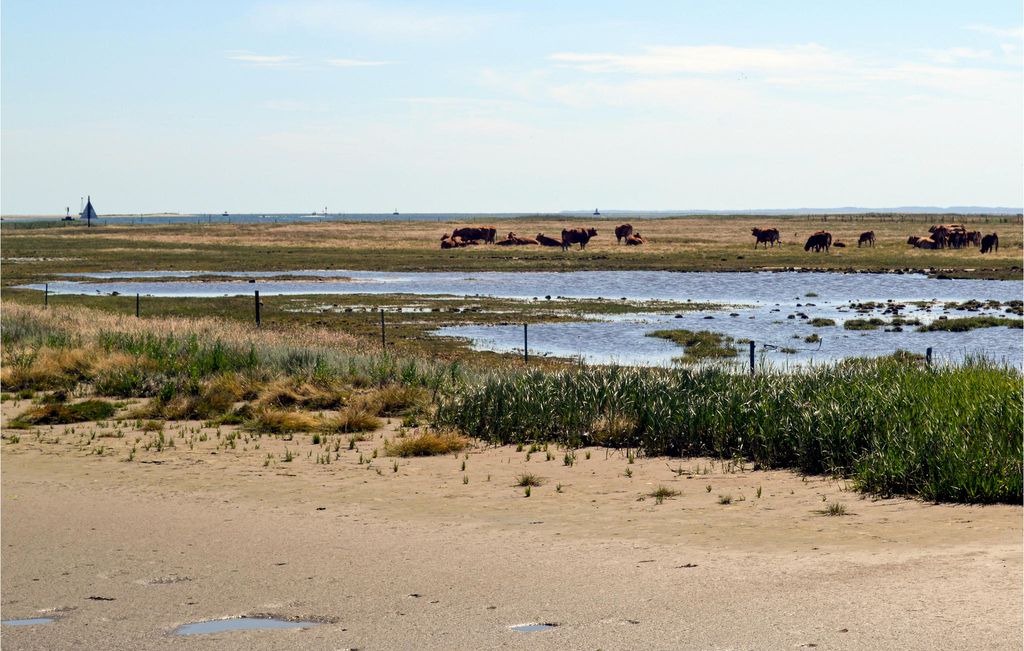 Photo of Outdoor in Udbyhøj