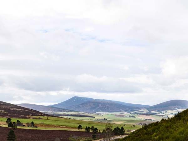 Photo of Others in Dufftown