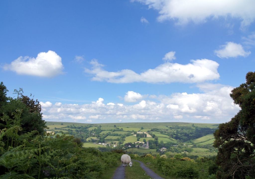 Photo of Outdoor in Tavistock