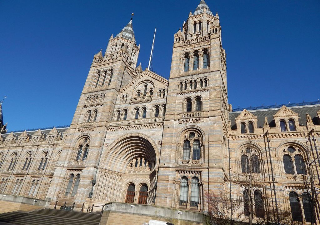 Photo of Buildings in Redcliffe