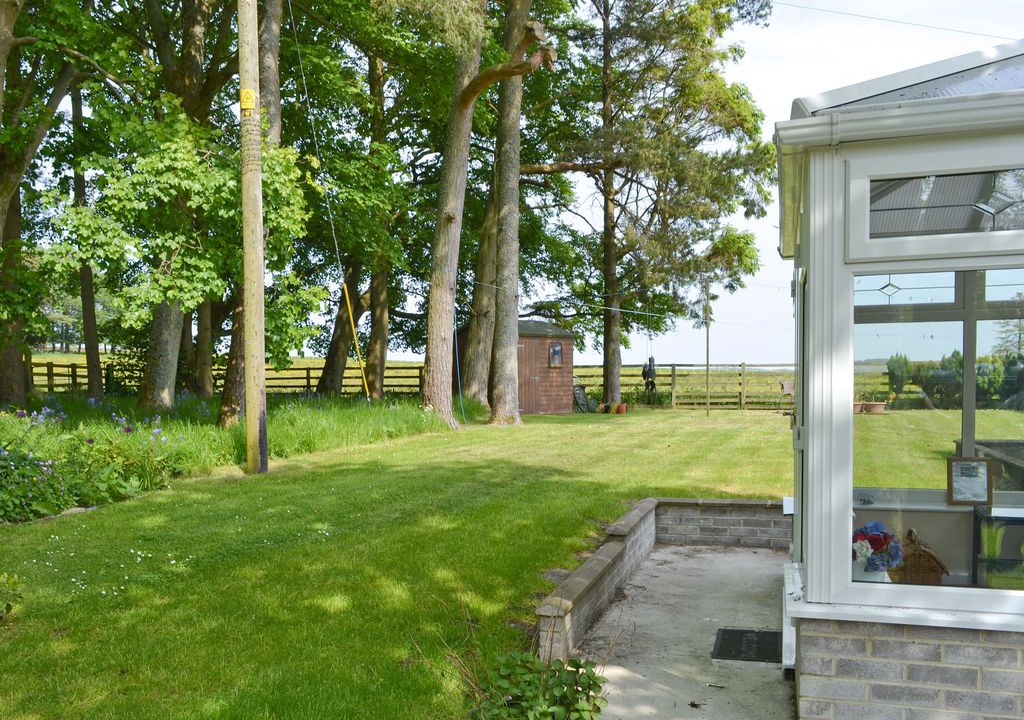 Photo of Others in Brampton