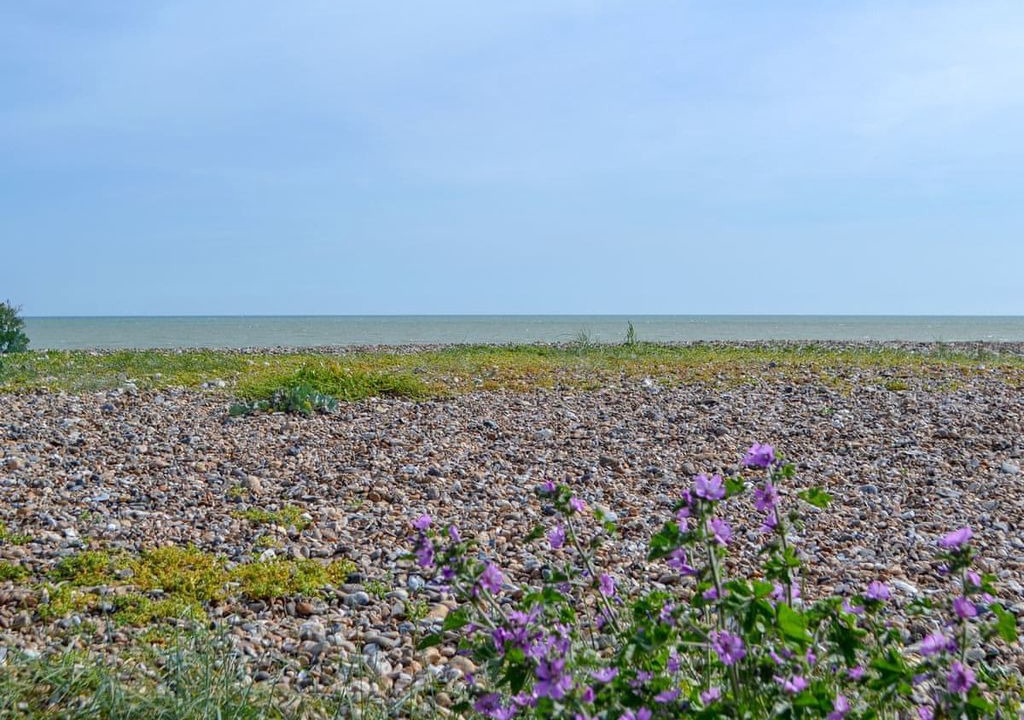 Photo of Outdoor in Littlehampton