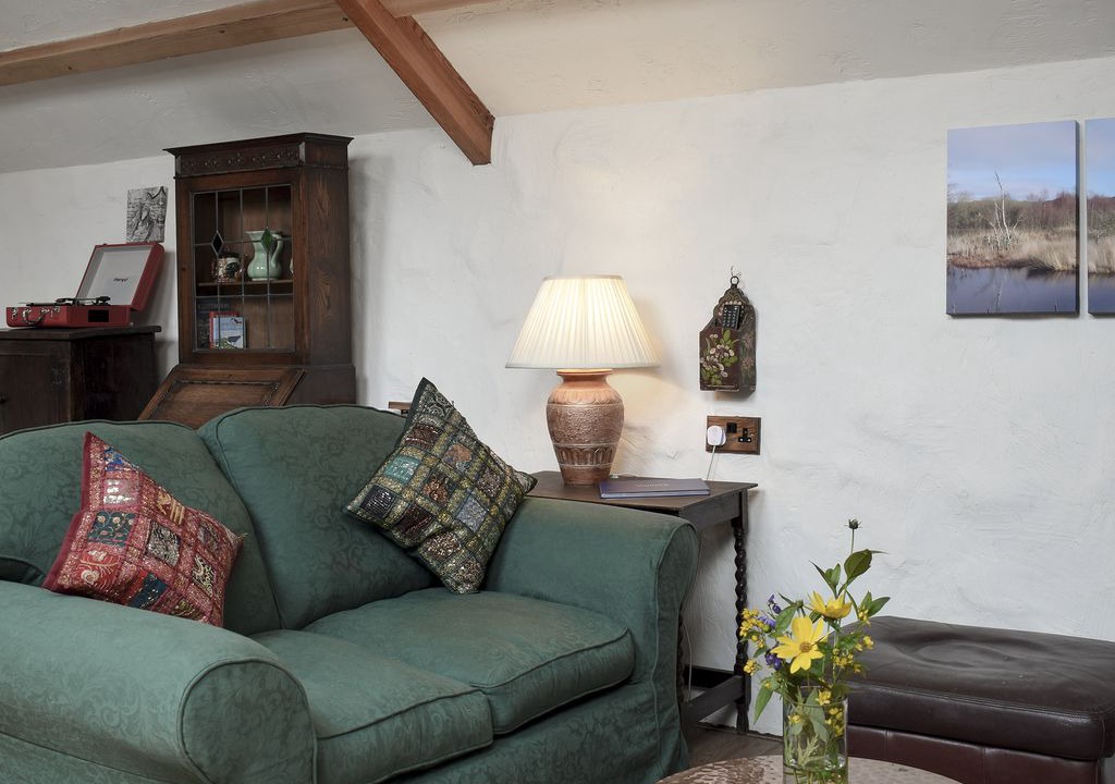 Photo of Livingroom in Tregaron