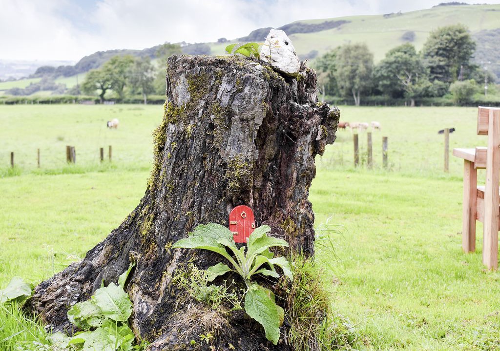Photo of Others in Tregaron