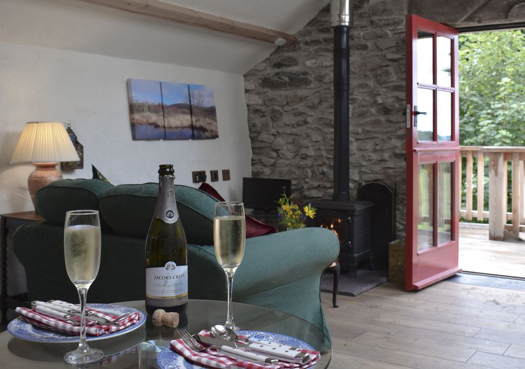 Photo of Livingroom in Tregaron