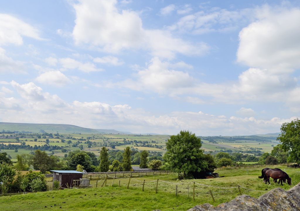 Photo of Outdoor in Leyburn