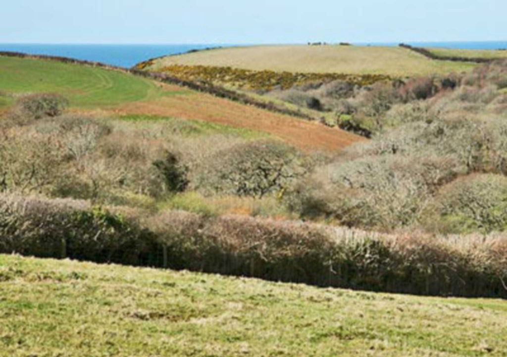 Photo of Outdoor in Saint Gennys