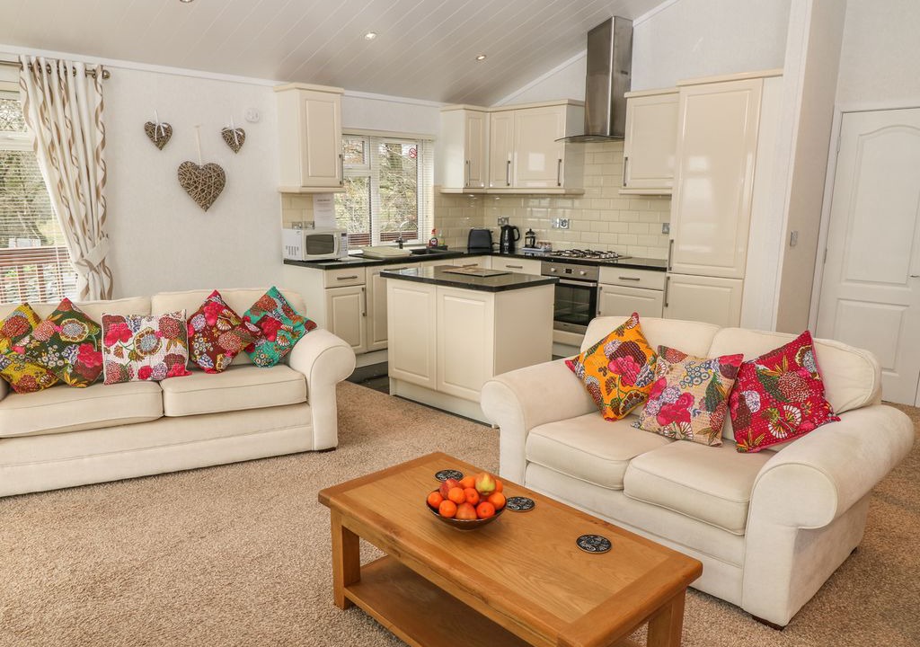 Photo of Livingroom in Tavistock