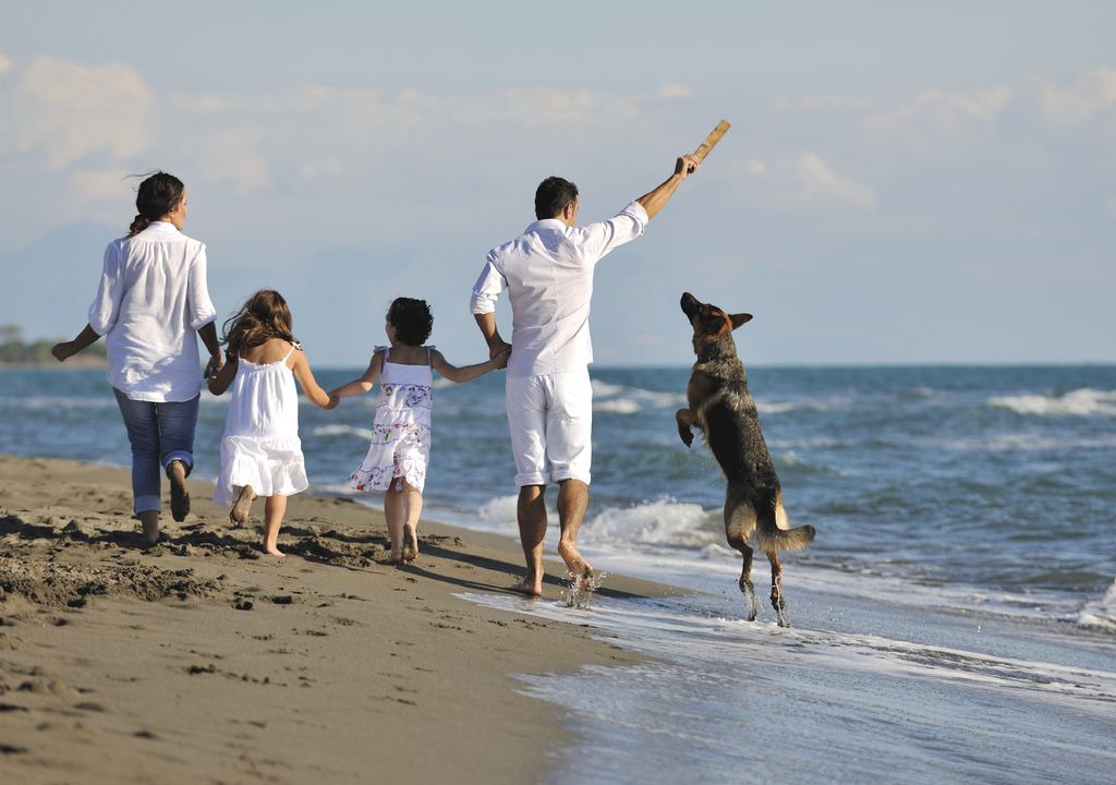 Photo of Human In Picture in Bognor Regis