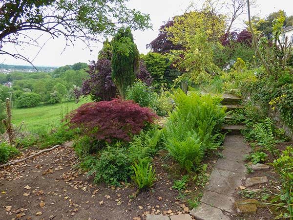 Photo of Others in Lydney