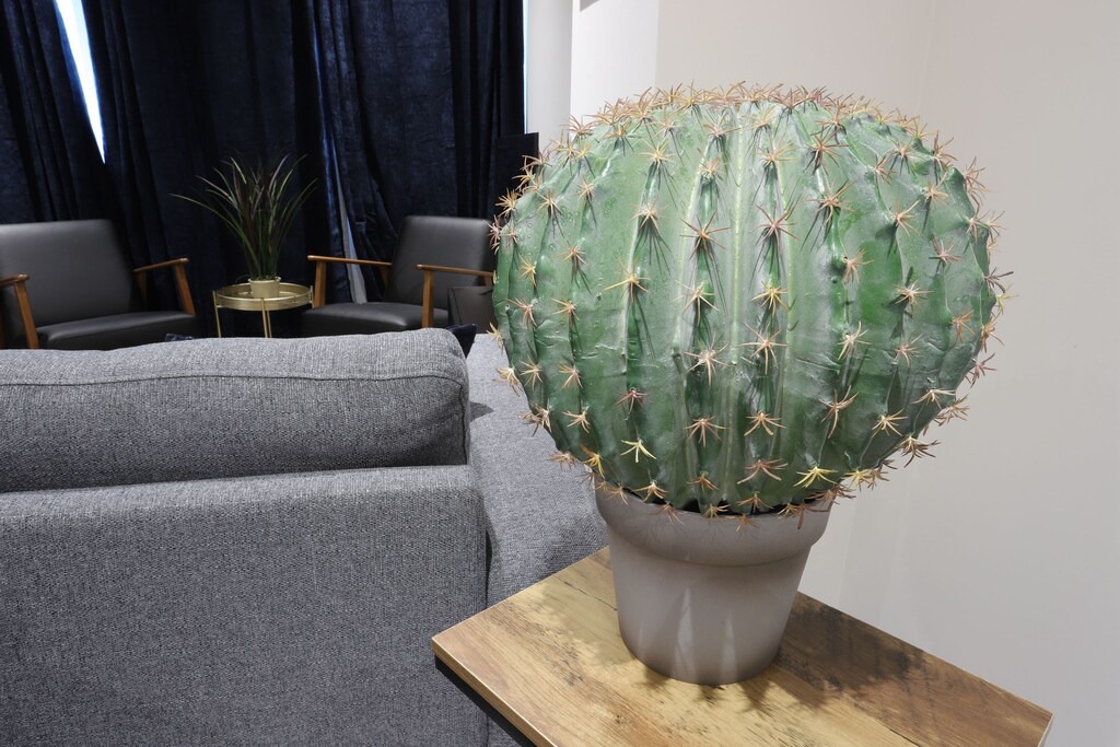 Photo of Others in Sheldon