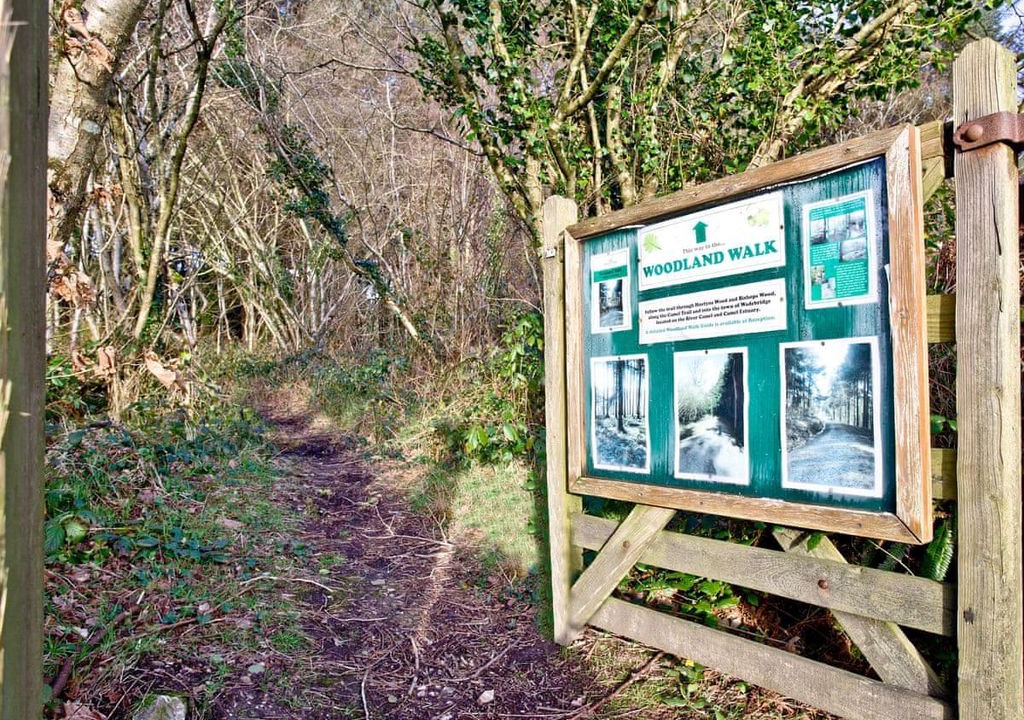 Photo of Buildings in St Wenn
