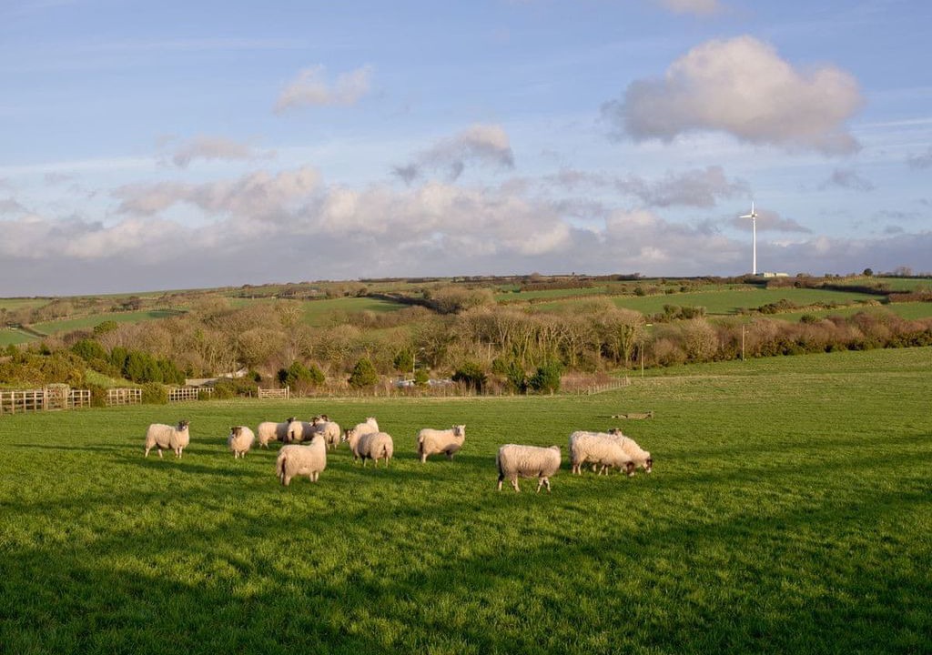 Photo of Outdoor in St Wenn