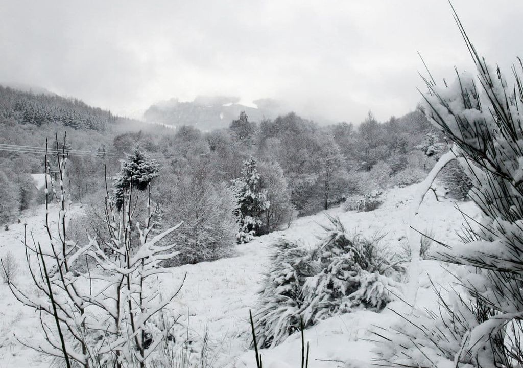 Photo of Others in Strathyre