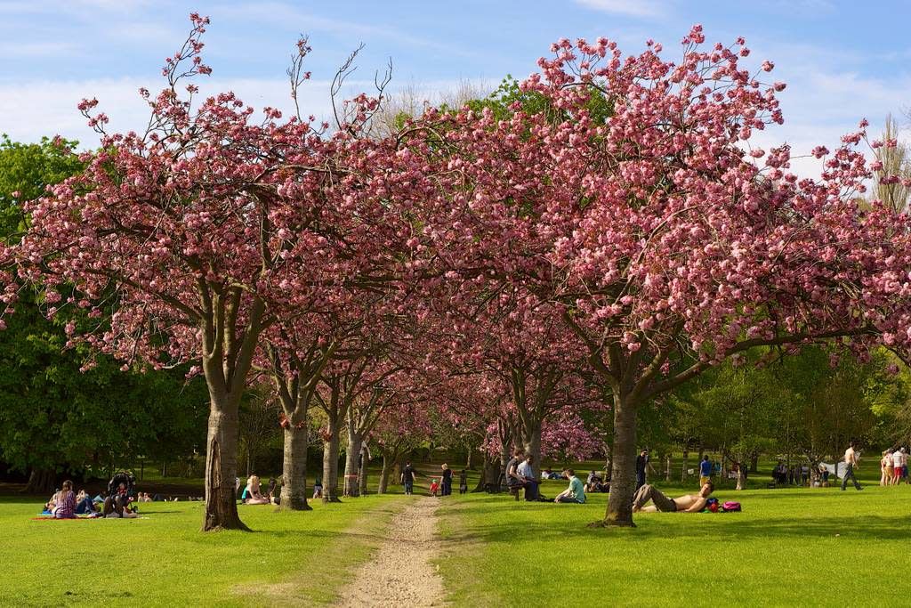 Photo of Others in Homerton