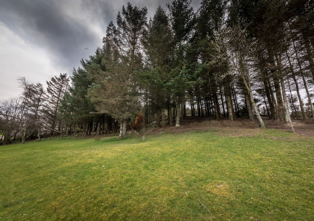 Photo of Others in Melvich