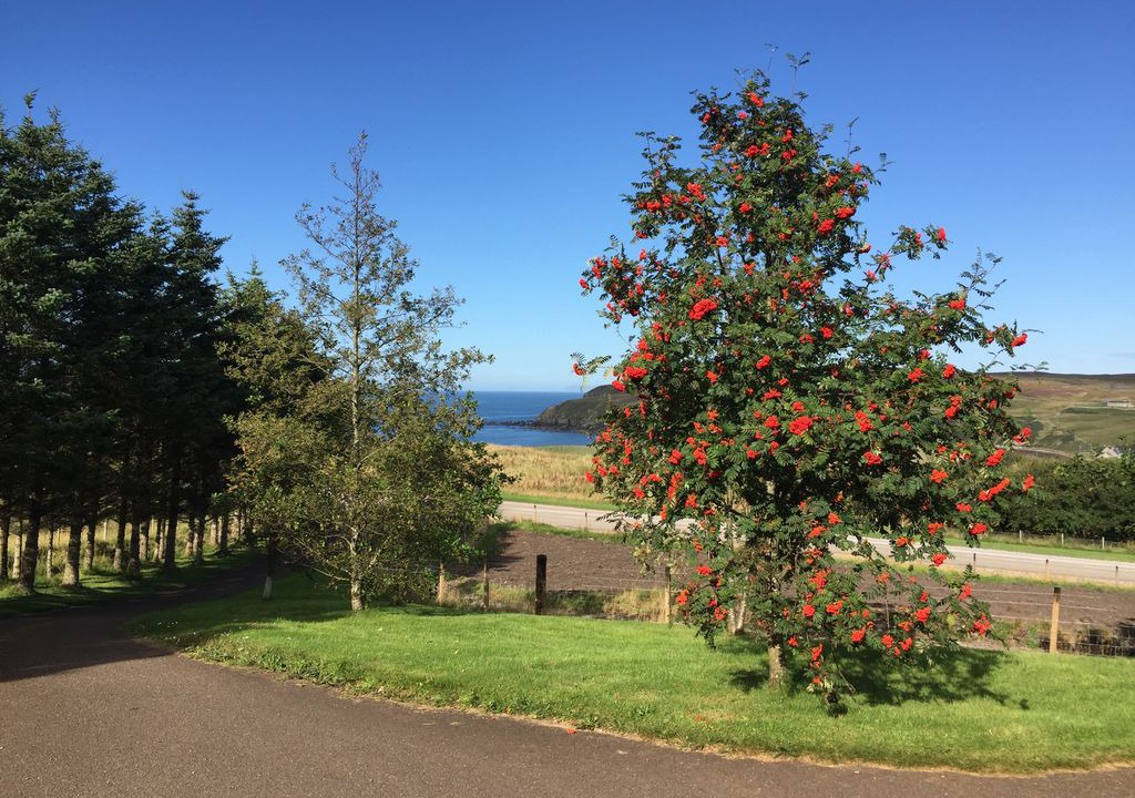 Photo of Others in Melvich