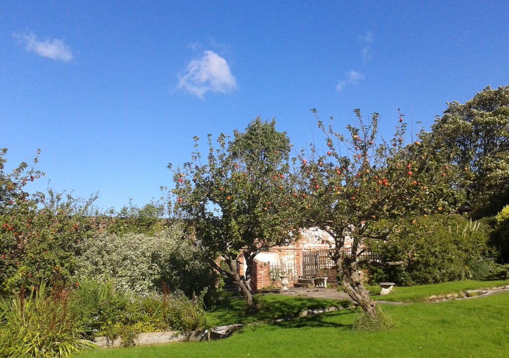 Photo of Others in Waren Mill