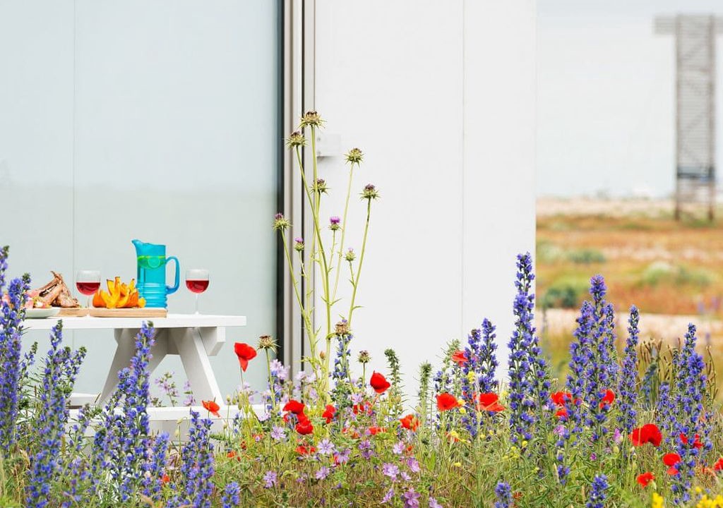 Photo of Others in Dungeness