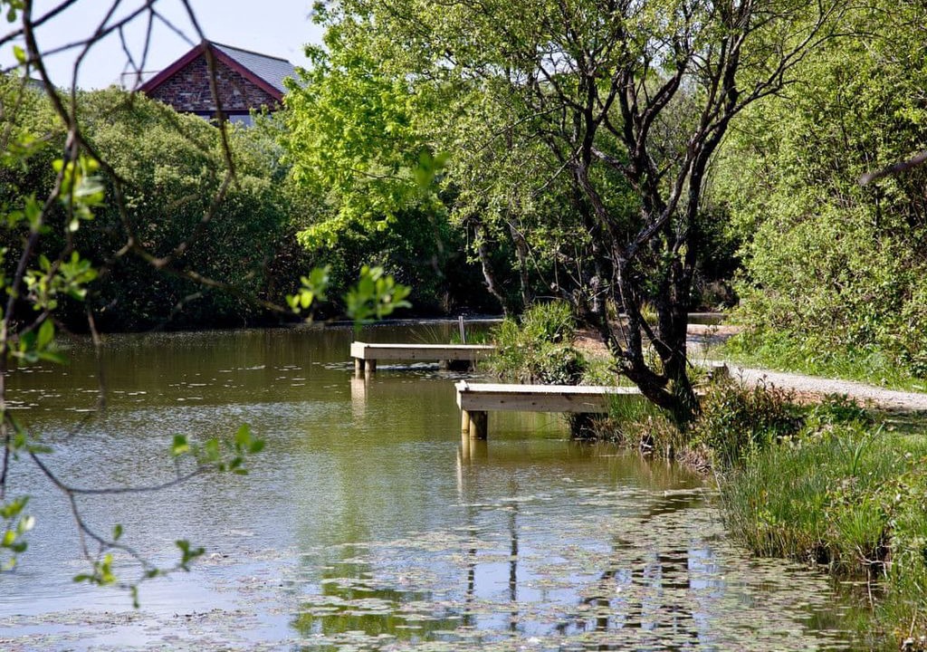 Photo of Others in Winnard's Perch