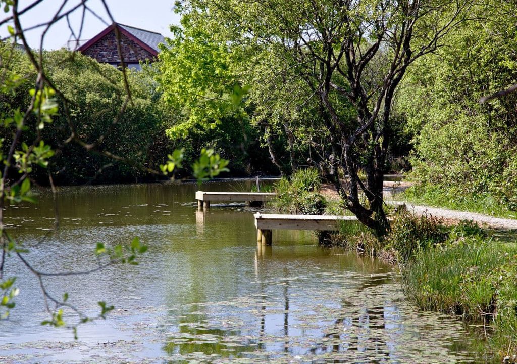 Photo of Others in Winnard's Perch