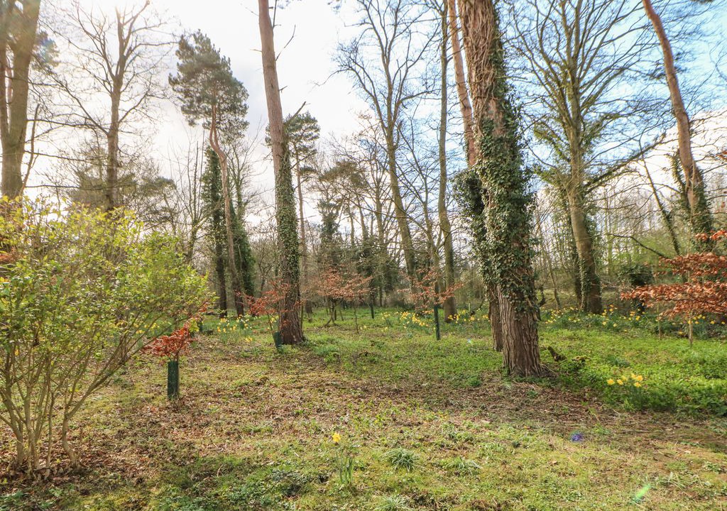 Photo of Others in Kiplin