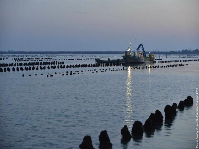 Photo of Outdoor in LʼAiguillon-sur-Mer