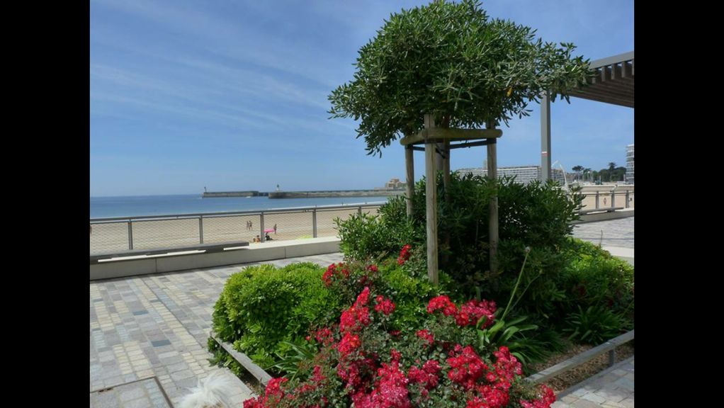 Photo of Others in Les Sables d'Olonne