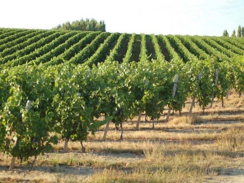 Photo of Outdoor in Vieillevigne