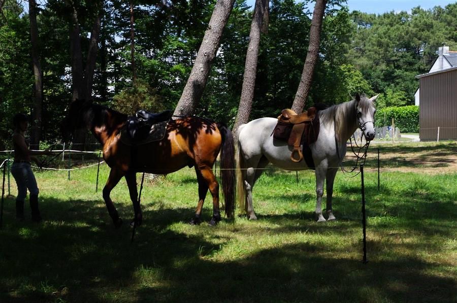 Photo of Others in Guemene-Penfao