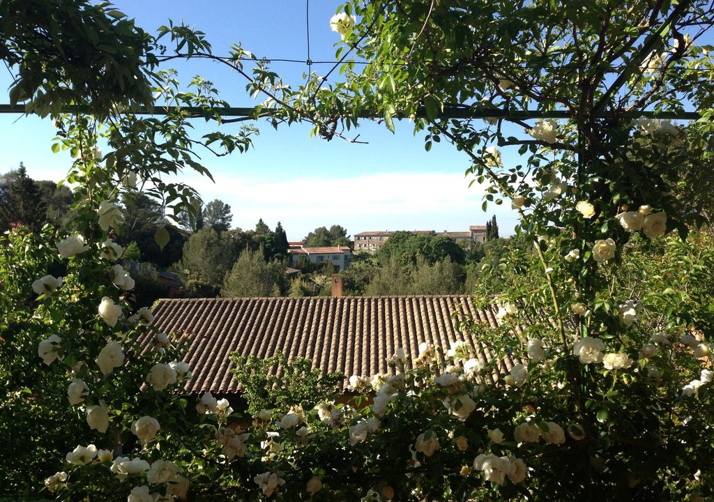 Photo of Others in Saint-Vincent-de-Barbeyrargues