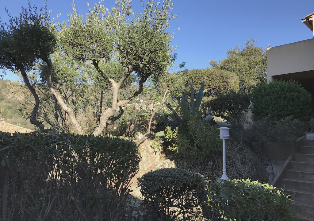 Photo of Others in Bormes-Les-Mimosas