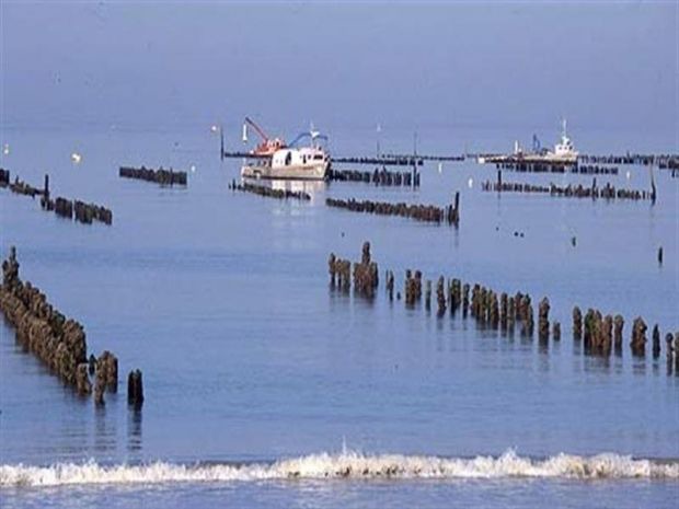 Photo of Outdoor in LʼAiguillon-sur-Mer
