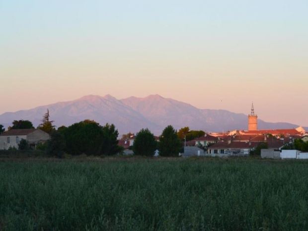 Photo of Outdoor in Latour-Bas-Elne