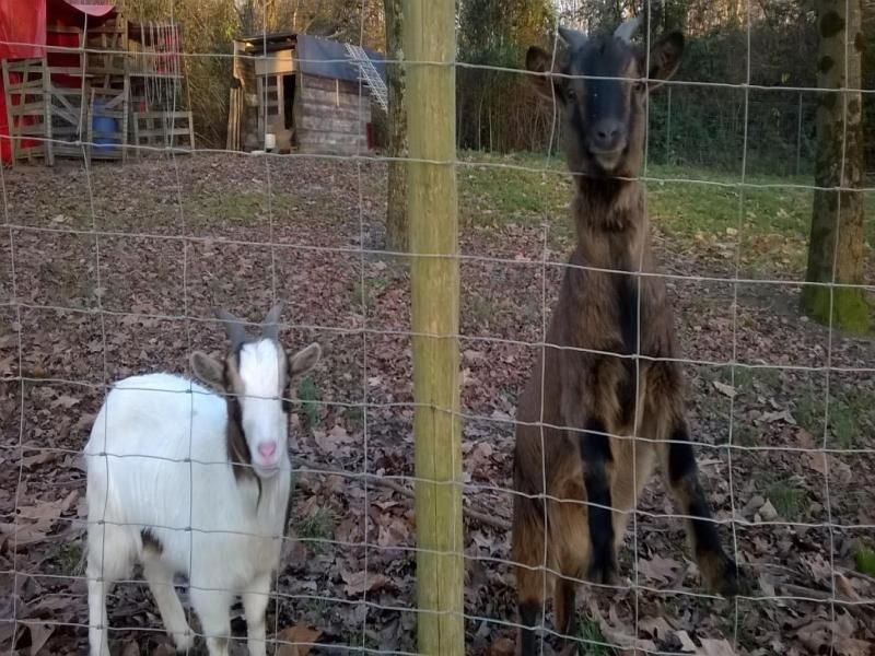 Photo of Others in Nort-sur-Erdre