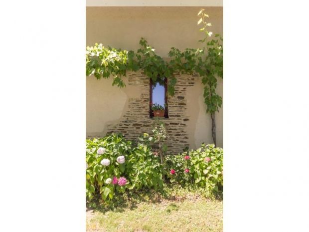 Photo of Others in La Chevallerais