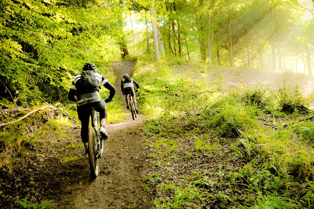 Photo of Human In Picture in La Ferriere-aux-Etangs