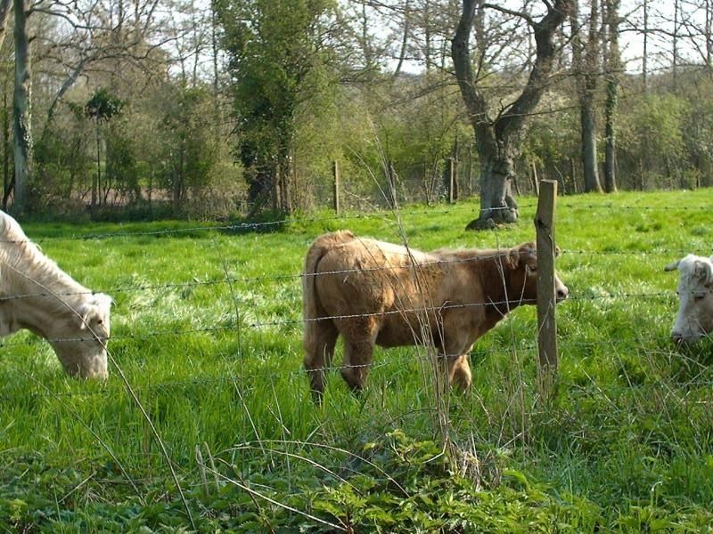 Photo of Others in Fontenay-sur-Eure