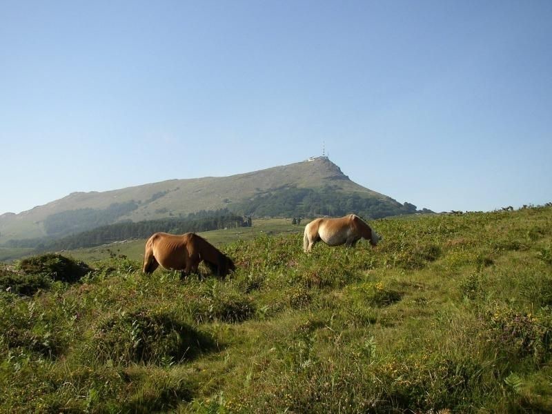 Photo of Outdoor in Urcuit